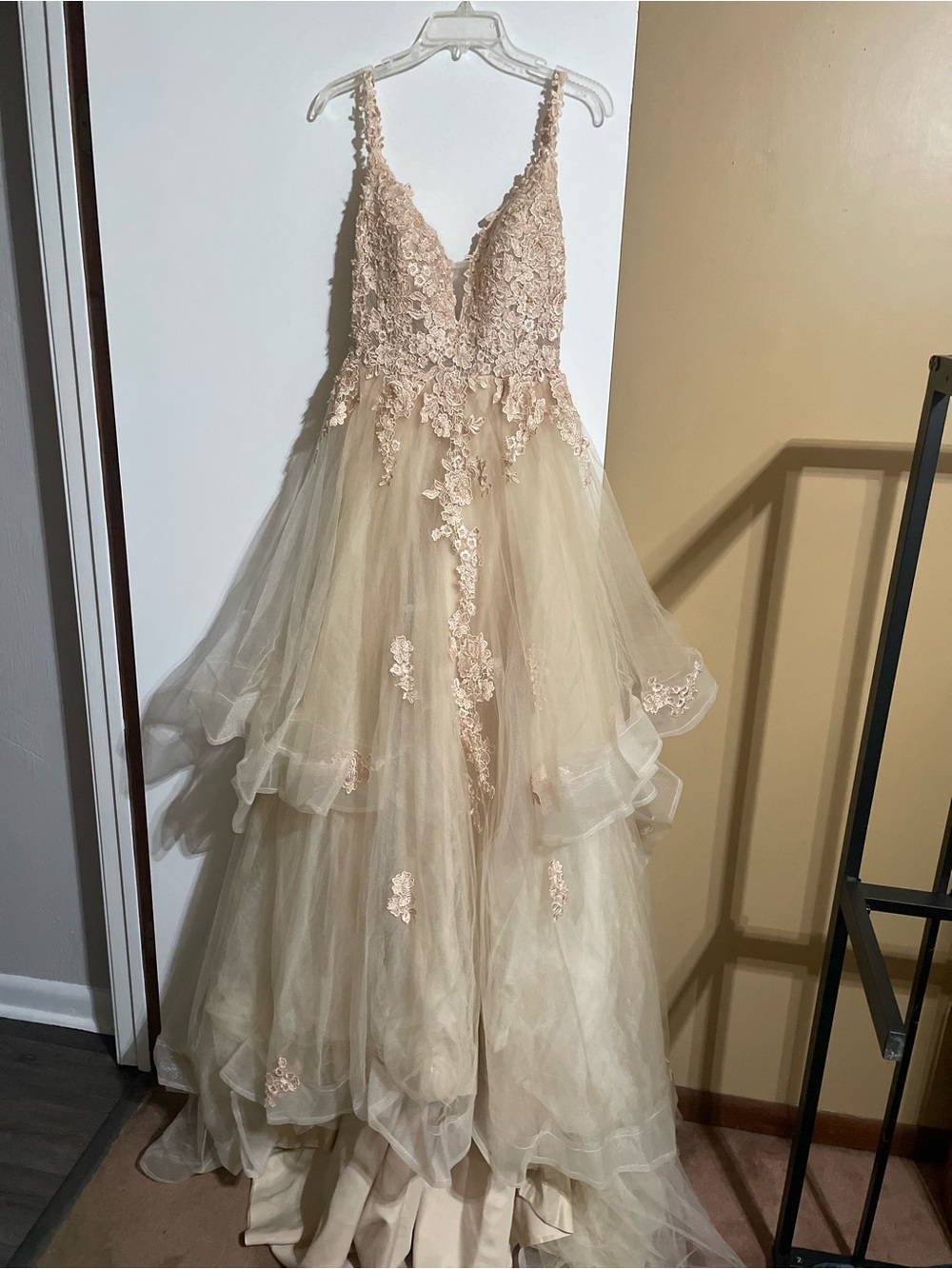 Lace Appliqué Tulle Party Dress in Champagne